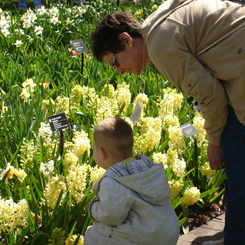 Woman and boy looking at spring bulbs in bloom